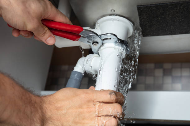 Best Water damage cleanup near me  in North Belle Vernon, PA