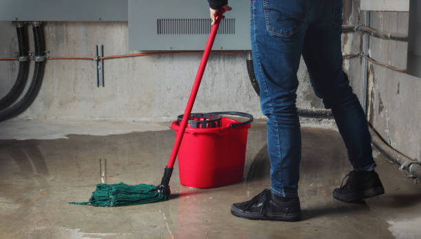 Carpet water damage restoration in North Belle Vernon, PA