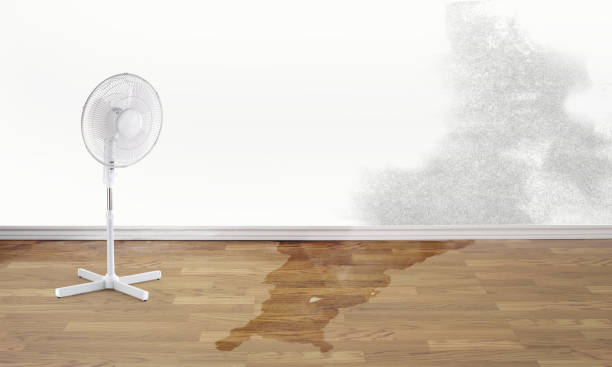 Best Fire Damage Restoration  in North Belle Vernon, PA