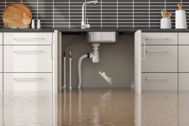 Best Water damage restoration near me  in North Belle Vernon, PA