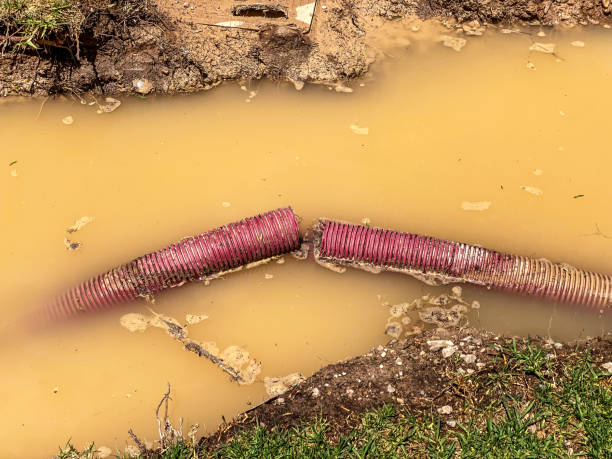 Best Emergency water damage restoration  in North Belle Vernon, PA